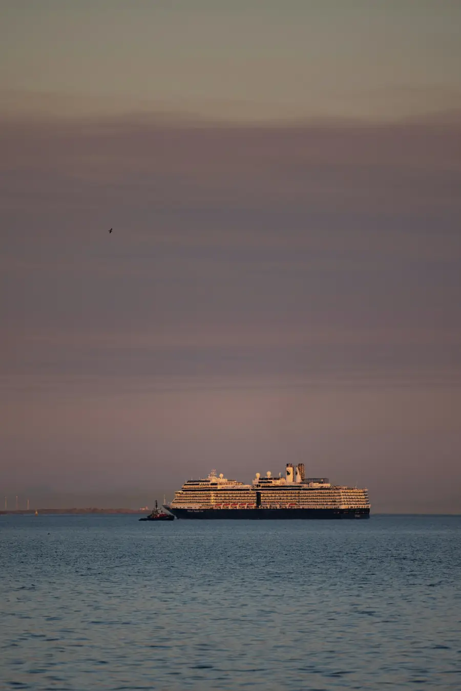 A cruise ship on a calm sea at dusk under a soft violet sky